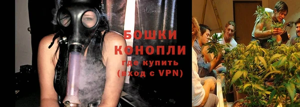 кокс Инсар