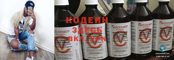 эйфоретик Иннополис