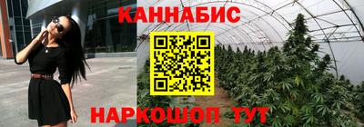 сатива Кандалакша