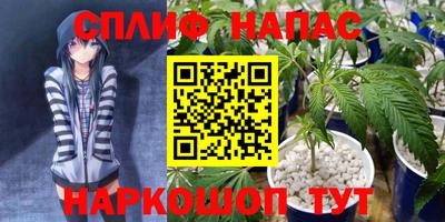 сатива Кандалакша