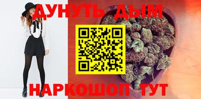 сатива Кандалакша