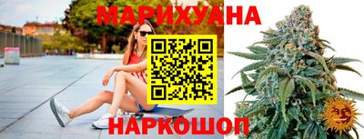 сатива Кандалакша