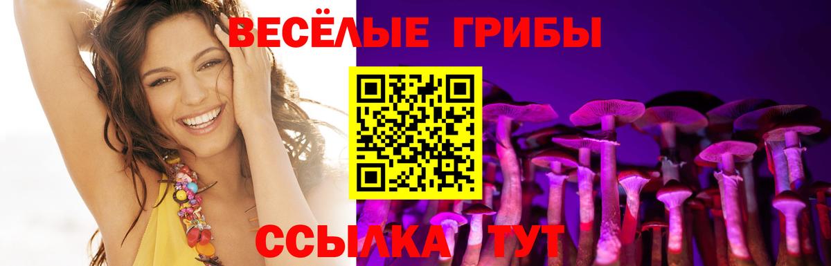 Галлюциногенные грибы MAGIC MUSHROOMS  Вход с VPN  Галлюциногенные грибы ЛСД  Краснознаменск 